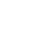 Extensive Experience icon