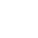 Security Management Consulting icon